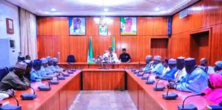 Zulum Urges Chad Basin Authority to Invest in Groundwater Irrigation to Boost Food Security
