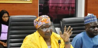Italy Is Ready To Boost Kaduna’s Investment Drive ---Ambassador