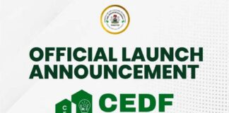Loan Opportunity for Creatives: Federal Govt Rolls Out Creative Economy Development Fund (CEDF) To Boost Industry