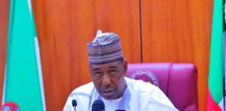 Borno State Governor, His Excellency - Babagana Umara Zulum