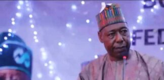 Borno State Governor Babagana Umara Zulum